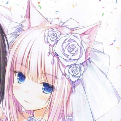 小猫反复确认能不能出去玩